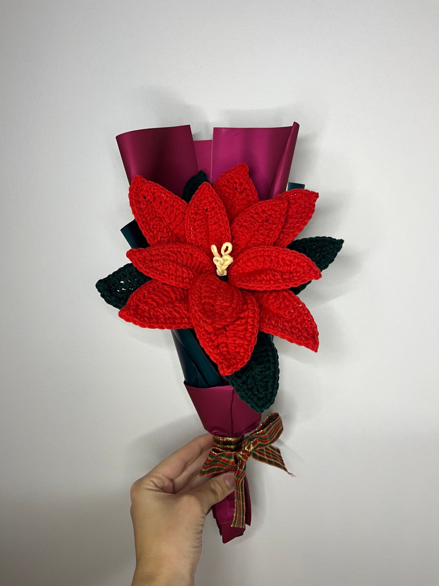 Gwiazda betlejemska ❤️