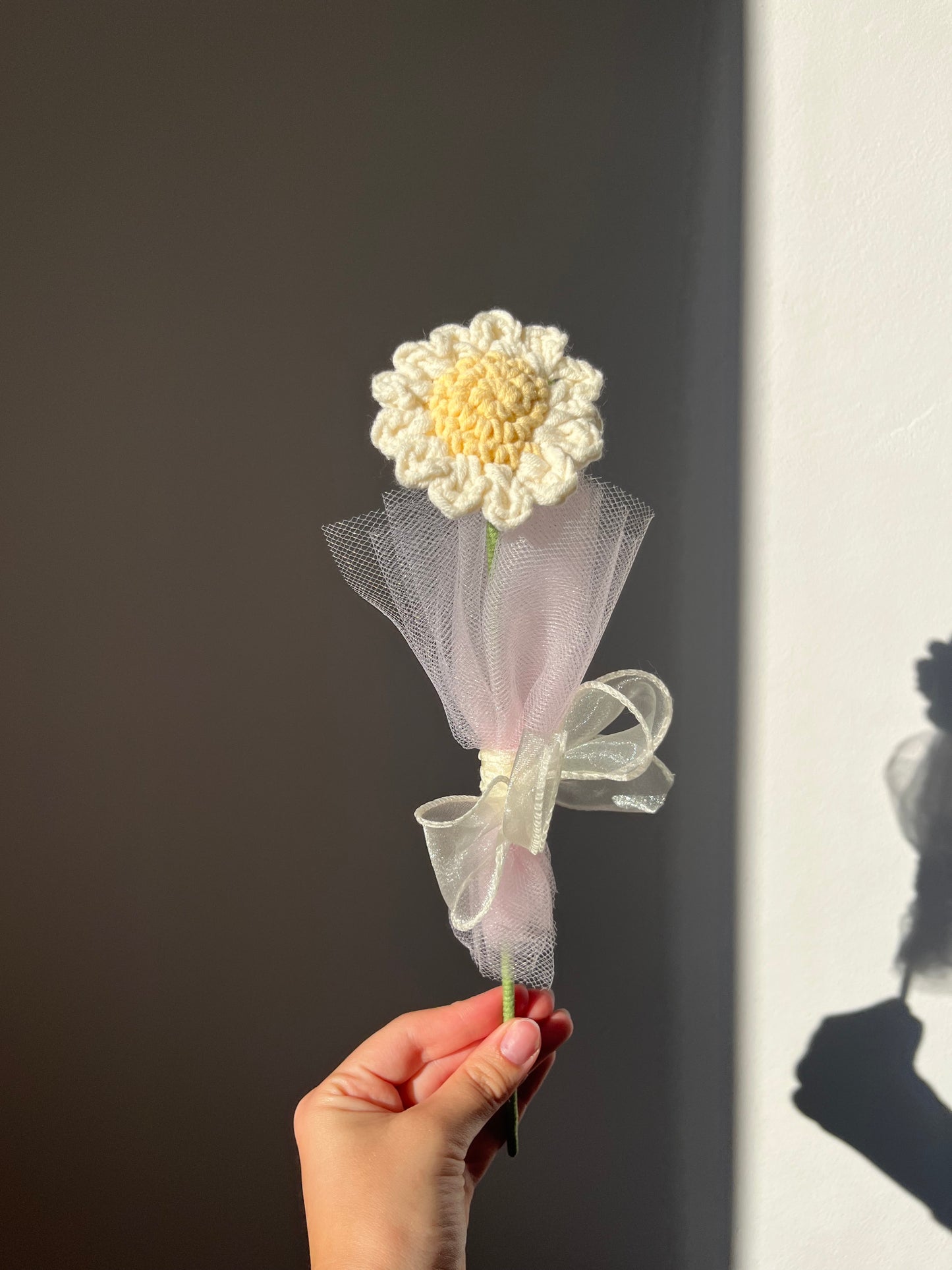 Stokrotka 🌼