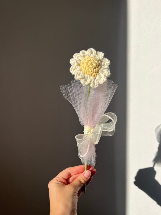 Stokrotka 🌼
