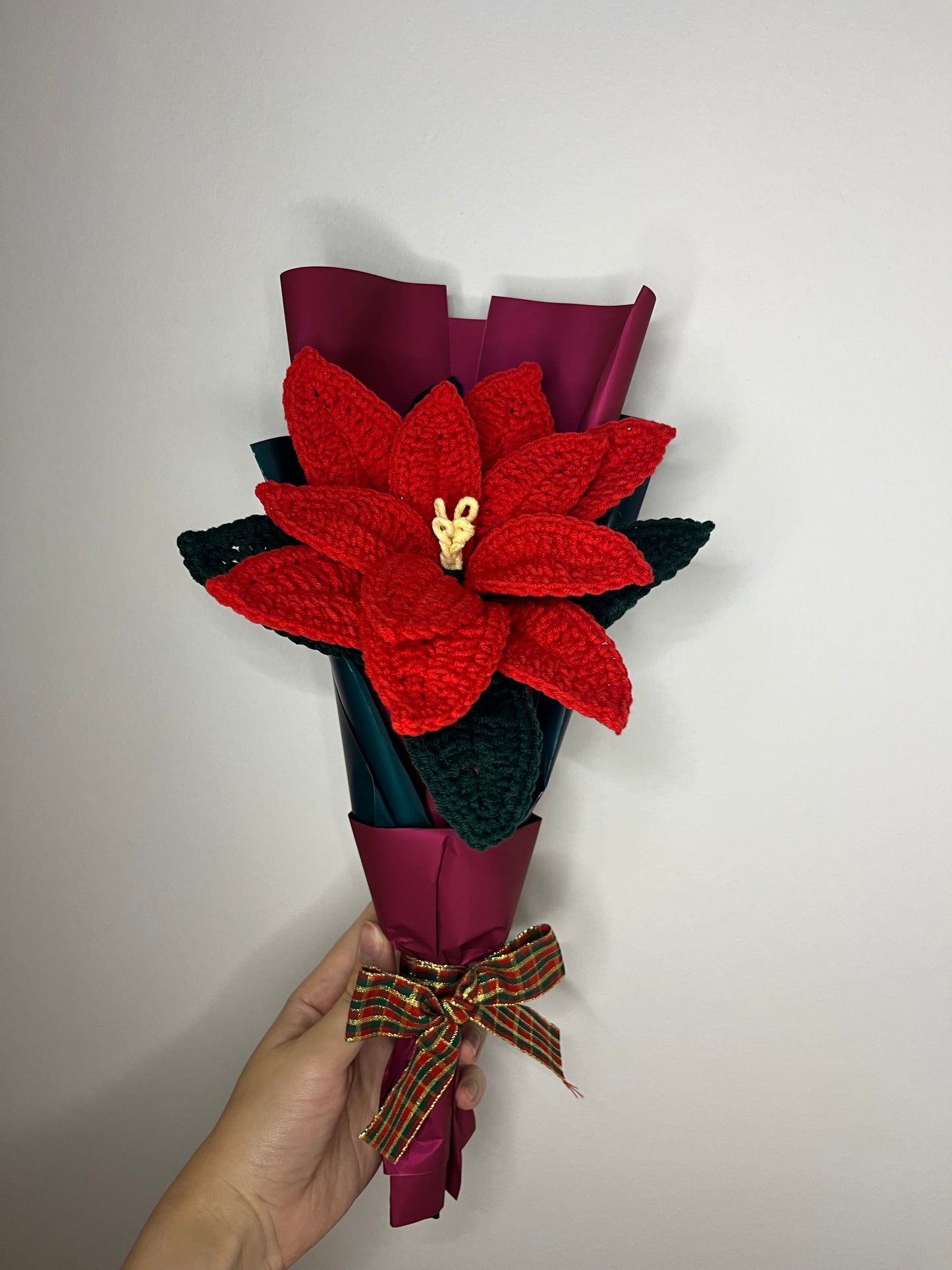 Gwiazda betlejemska ❤️