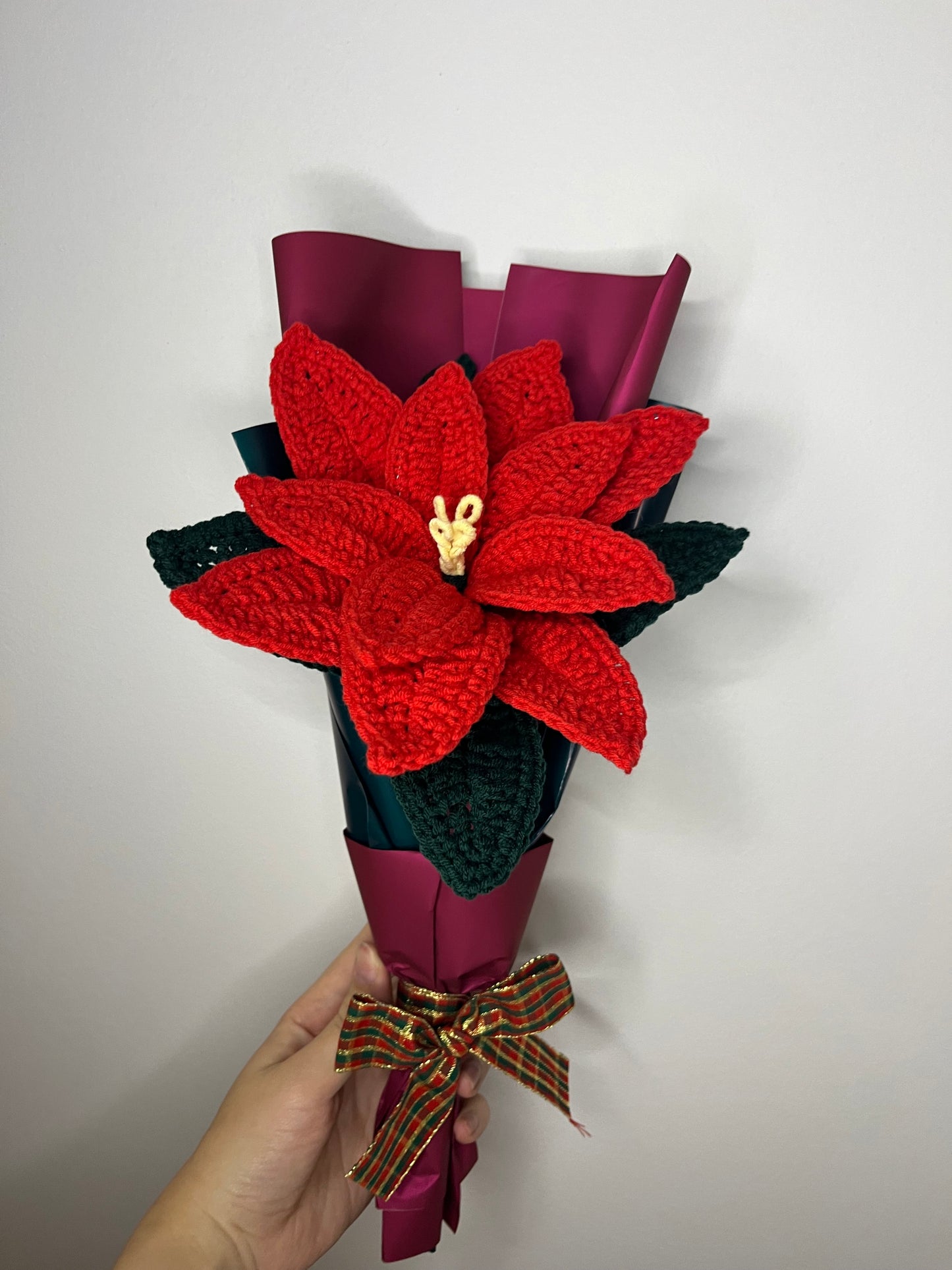 Gwiazda betlejemska ❤️